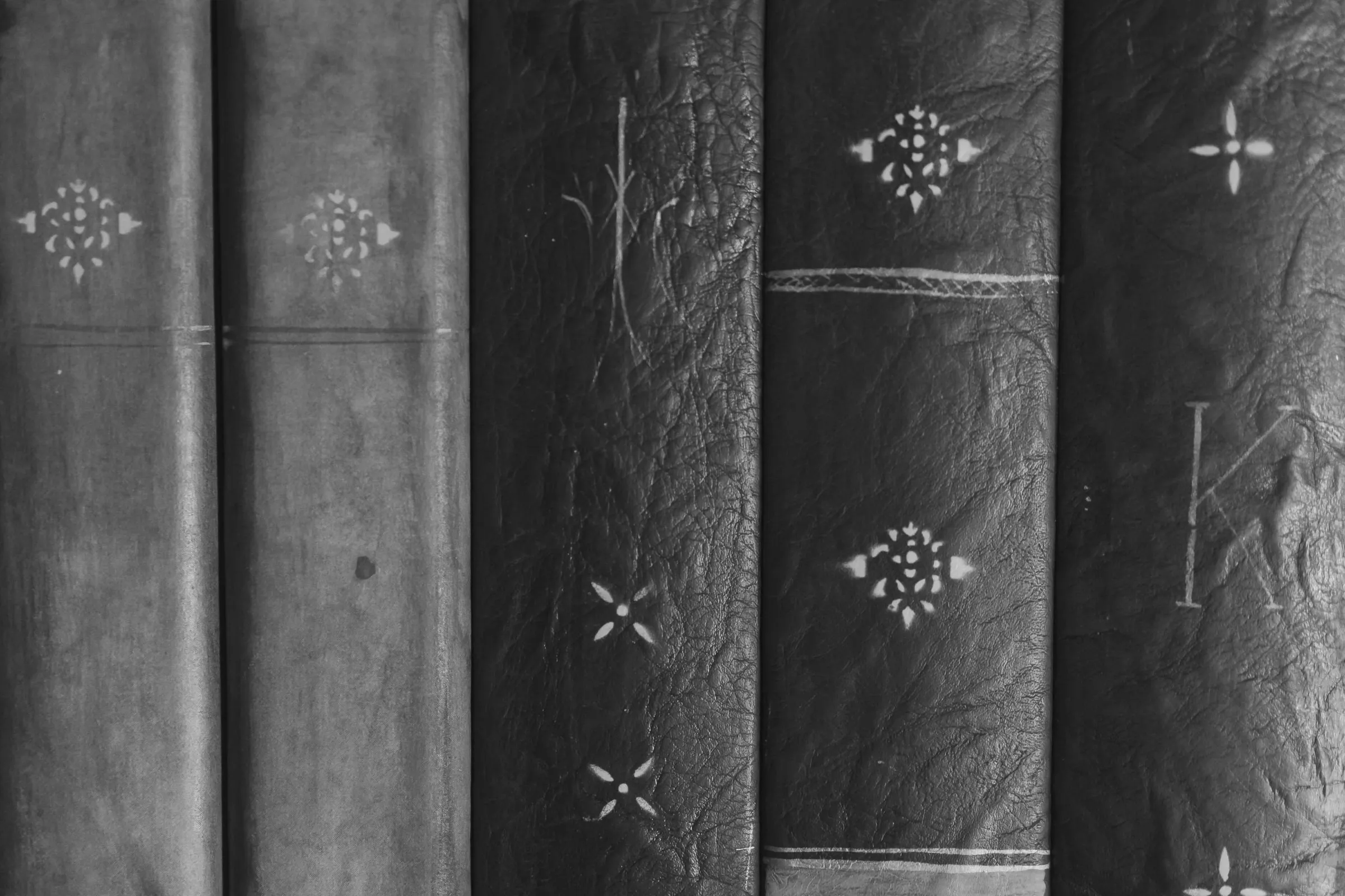 Рбетите на стари книги во кожен повез, една до друга, украсени со мали орнаменти.